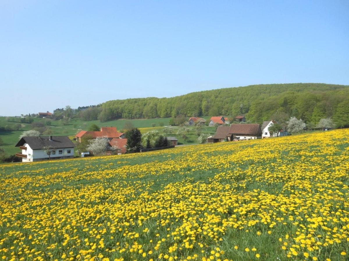 Ferienwohnung Oettersbach Poppenhausen Eksteriør billede